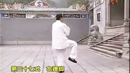 杨氏太极拳名师教学视频